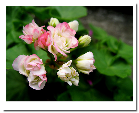 �����ķ���,���ÿ�(�����˲������Ĵ�����P7)