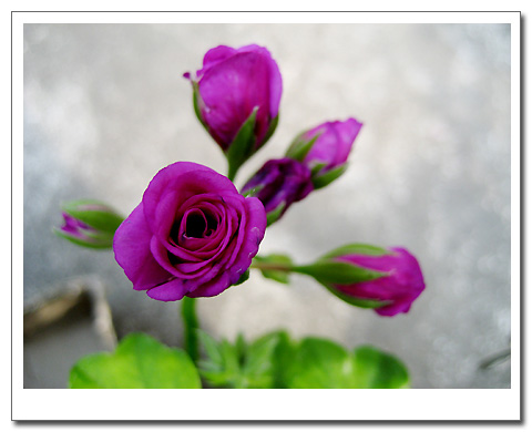 �����ķ���,���ÿ�(�����˲������Ĵ�����P7)