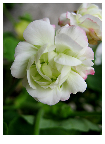 �����ķ���,���ÿ�(�����˲������Ĵ�����P7)