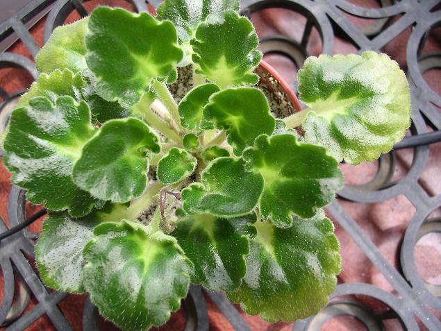 ����Ů�~�ý���