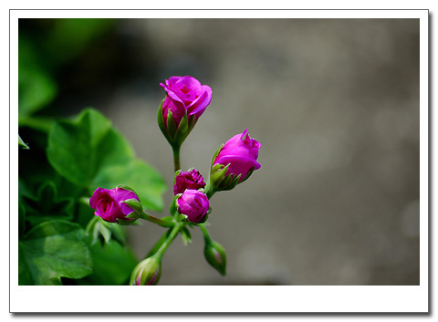 �����ķ���,���ÿ�(�����˲������Ĵ�����P7)