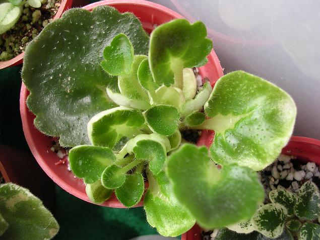 ����Ů�~�ý���