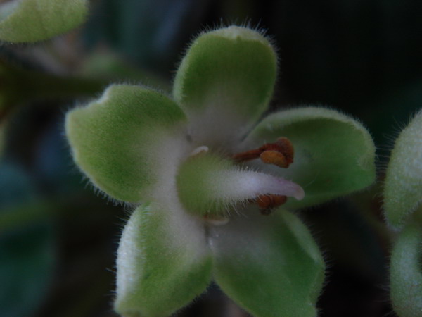 [��ͼ]Ư����Emerald LoVe