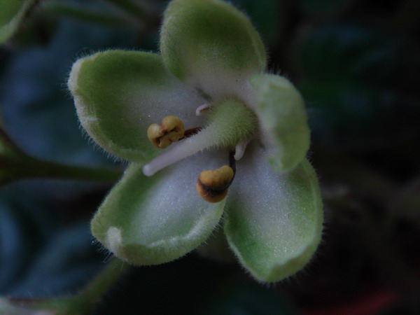 [��ͼ]Ư����Emerald LoVe