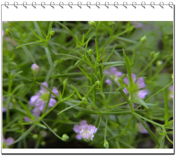 06��һЩ����--��԰����