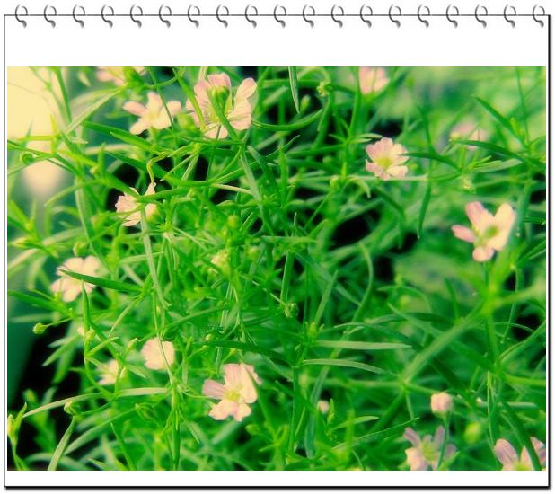 06��һЩ����--��԰����