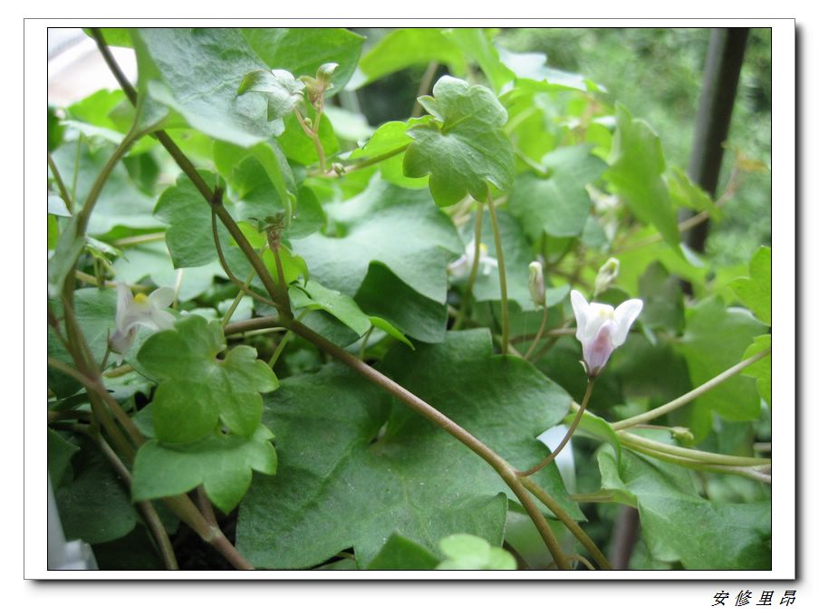 ��78�����̨