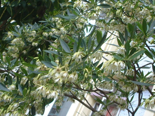 ˮʯ��