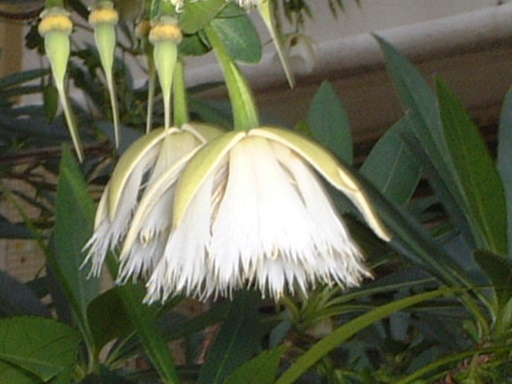 ˮʯ��
