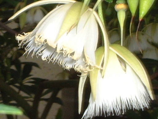ˮʯ��