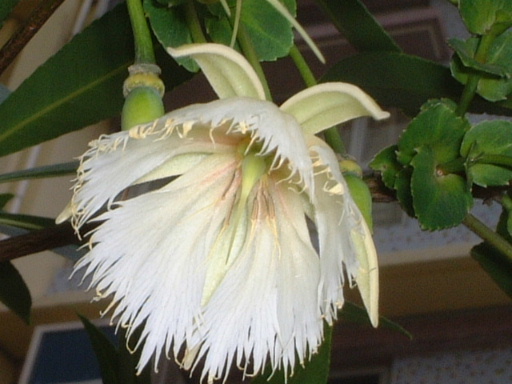 ˮʯ��