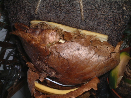 İ�� - ������