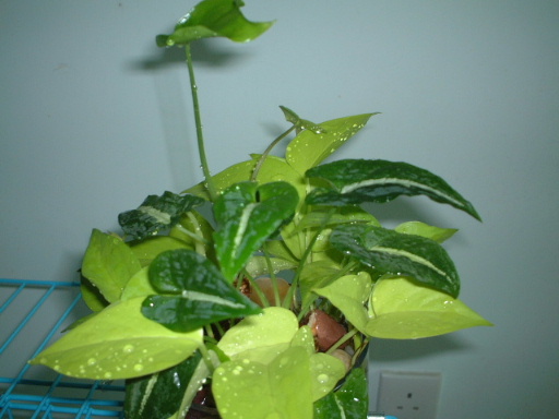 ���~�ߵê���