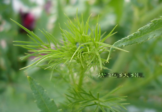 06��Ļ�~~�۹�