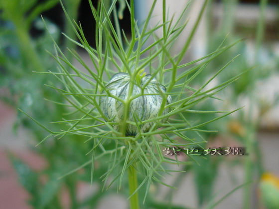 06��Ļ�~~�۹�