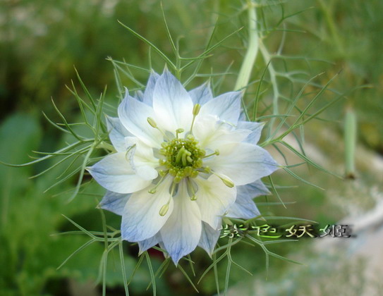 06��Ļ�~~�۹�