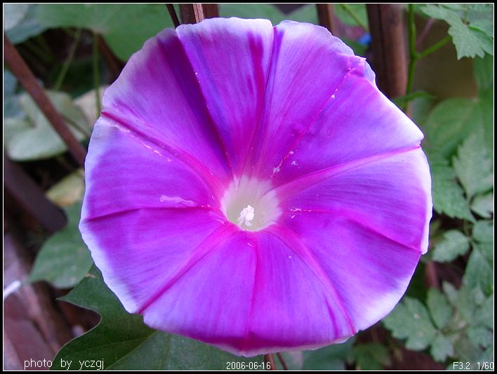 06���ǣţ������22���׿���һ��^^