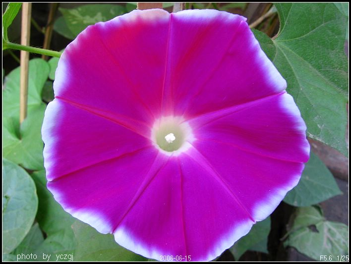 06���ǣţ������22���׿���һ��^^