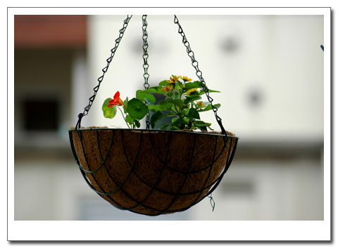 ������С���Ӻͺ�����