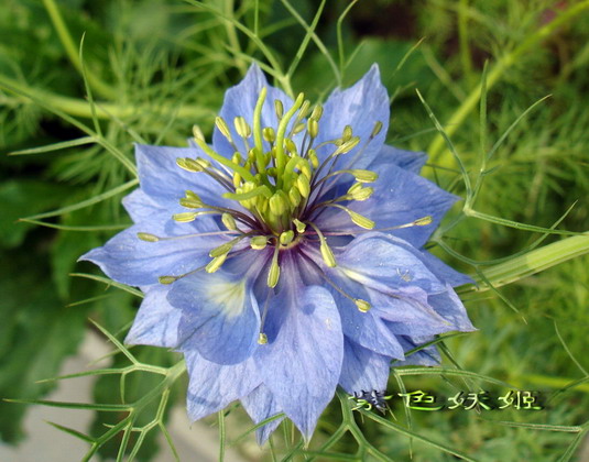 06��Ļ�~~�۹�