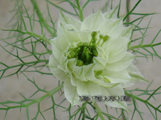 06��Ļ�~~�۹�