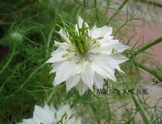 06��Ļ�~~�۹�