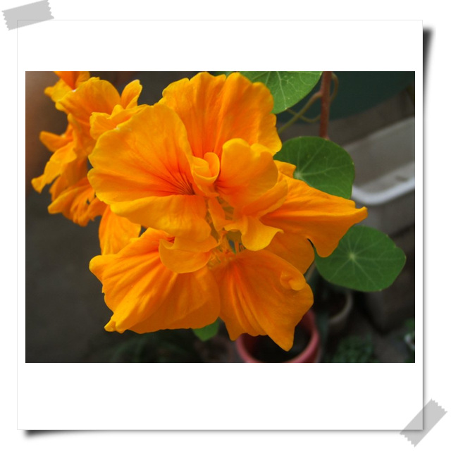 ��������~~�ذ�����������