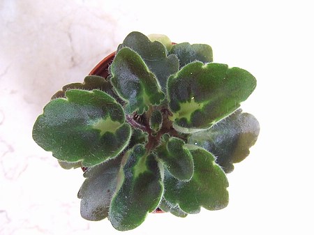 ����Ů�~�ý���