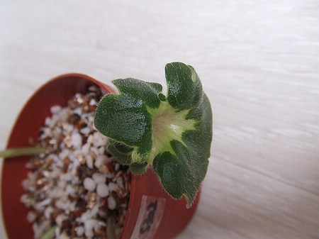 ����Ů�~�ý���