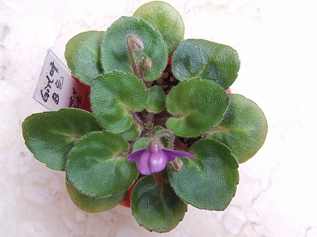 ����Ů�~�ý���