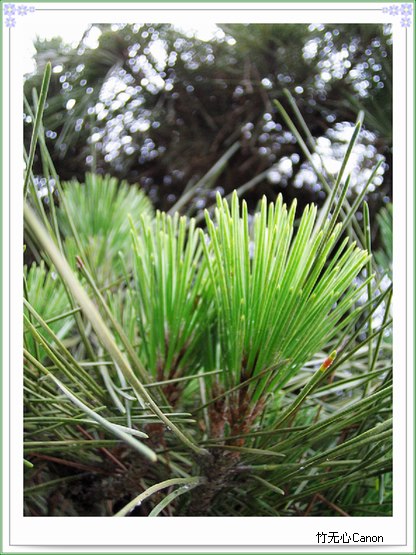 ������ƣ�����