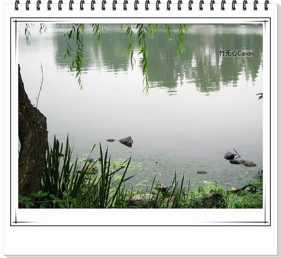 ������ƣ�����