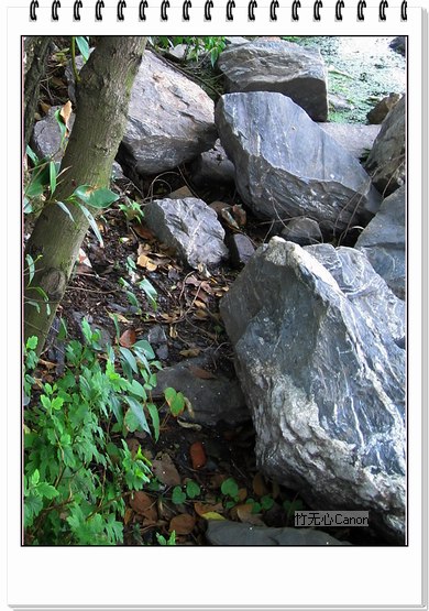 ������ƣ�����