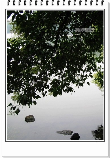 ������ƣ�����