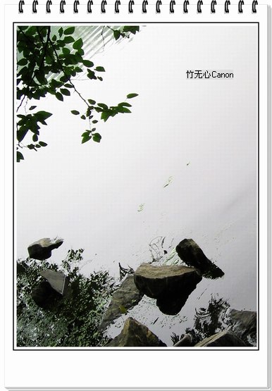 ������ƣ�����