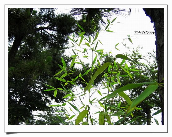 ������ƣ�����