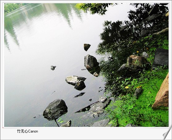 ������ƣ�����