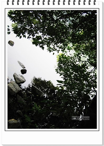 ������ƣ�����