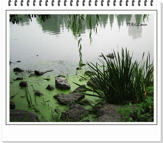 ������ƣ�����