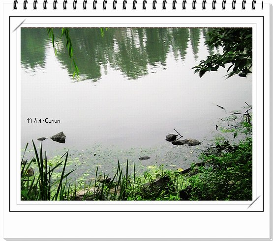 ������ƣ�����