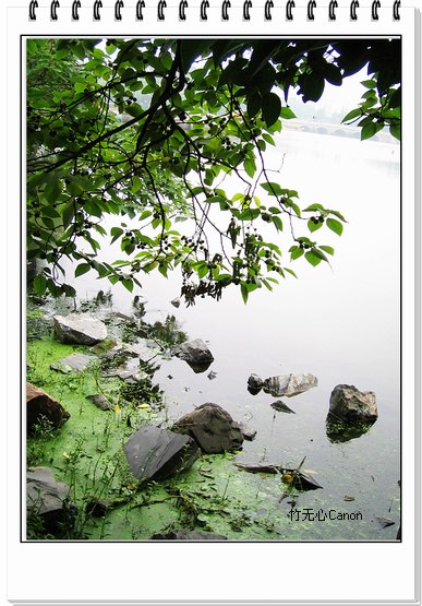 ������ƣ�����