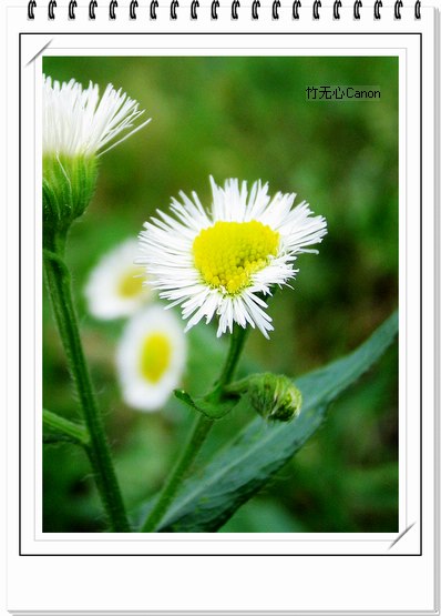 ������ƣ�����