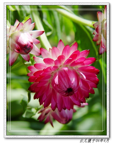 ���������˾�