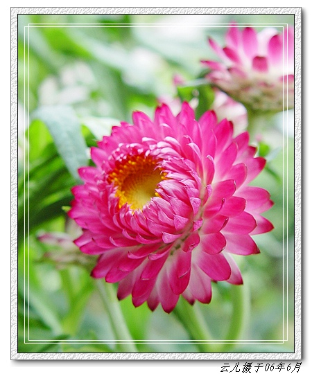 ���������˾�