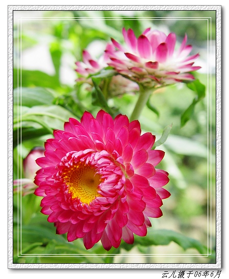 ���������˾�