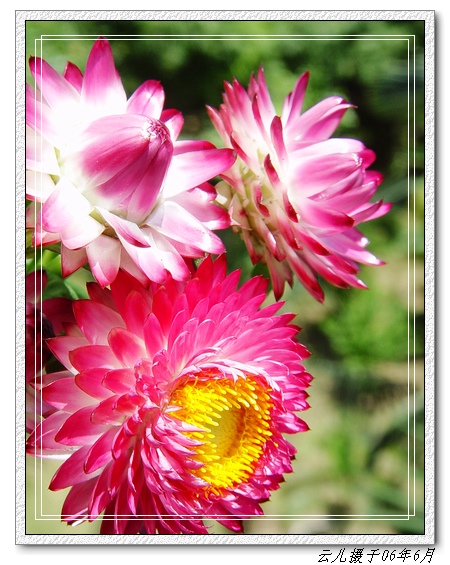 ���������˾�