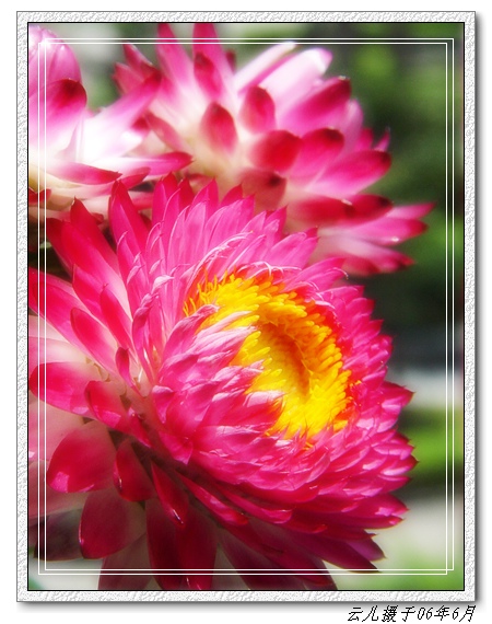 ���������˾�