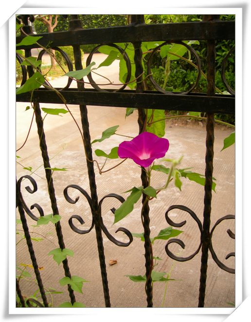 ����ը��,Ҳ��һ���ҵĹ���.