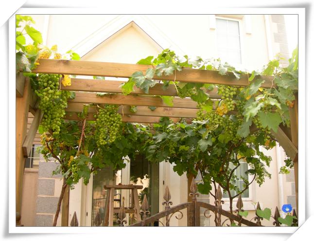 ����ը��,Ҳ��һ���ҵĹ���.