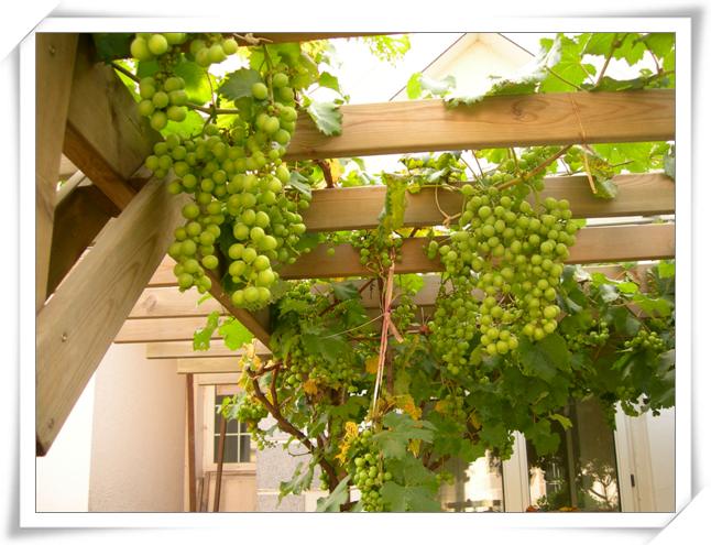 ����ը��,Ҳ��һ���ҵĹ���.